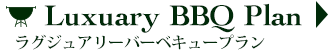 ラグジュアリーBBQプラン