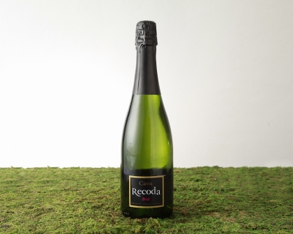 ���ѡ�����󥰥ץ��